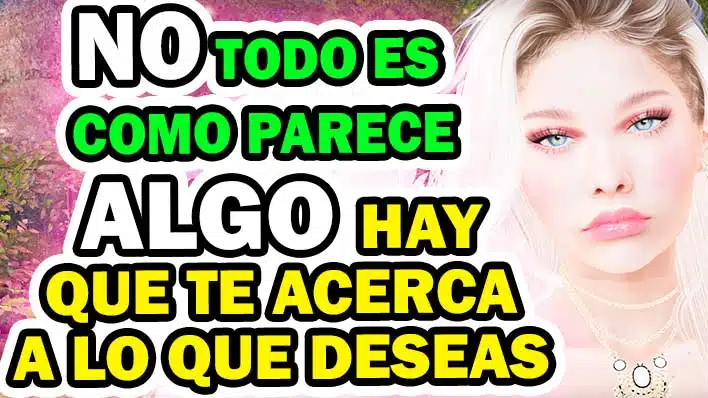 MENSAJE DE LOS ANGELES PARA HOY